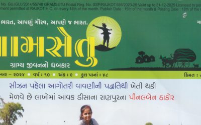 કાયમ પડદા પાછળ રહી અન્યને આગળ કરનાર સ્થપતિ, CEPT ની સંકલ્પનાના સર્જક અને સંવાહક – વકીલ