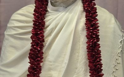 શ્રી ઠાકુર હળવાશથી  કહેતા : હાજરા તો નરેન્દ્ર નો ફ્રેન્ડ છે. (15)